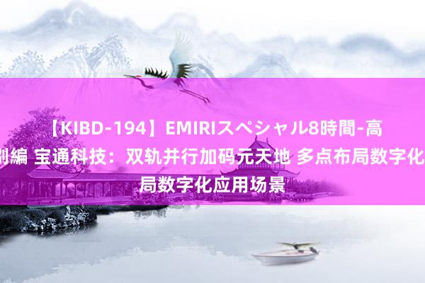 【KIBD-194】EMIRIスペシャル8時間-高画質-特別編 宝通科技：双轨并行加码元天地 多点布局数字化应用场景