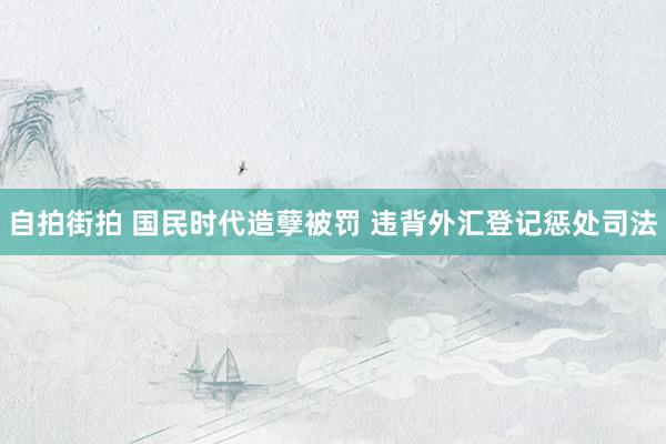 自拍街拍 国民时代造孽被罚 违背外汇登记惩处司法