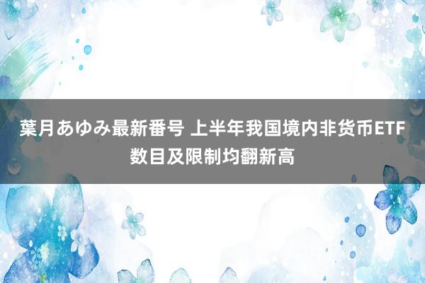 葉月あゆみ最新番号 上半年我国境内非货币ETF数目及限制均翻新高