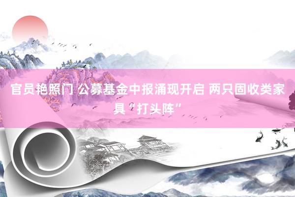 官员艳照门 公募基金中报涌现开启 两只固收类家具“打头阵”