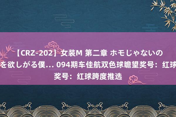 【CRZ-202】女装M 第二章 ホモじゃないのにチ○ポを欲しがる僕… 094期车佳航双色球瞻望奖号：红球跨度推选