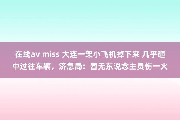 在线av miss 大连一架小飞机掉下来 几乎砸中过往车辆，济急局：暂无东说念主员伤一火