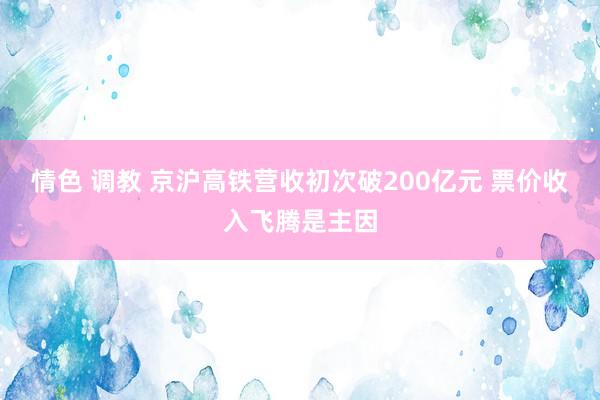 情色 调教 京沪高铁营收初次破200亿元 票价收入飞腾是主因