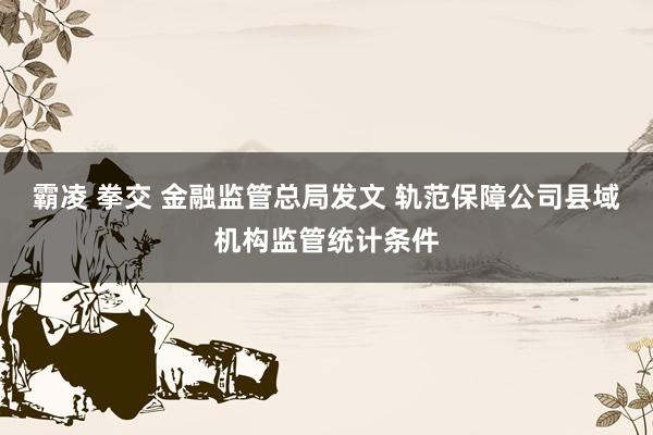 霸凌 拳交 金融监管总局发文 轨范保障公司县域机构监管统计条件