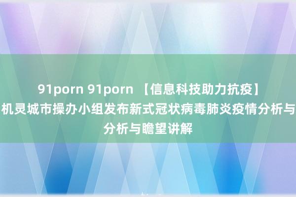 91porn 91porn 【信息科技助力抗疫】大数据与机灵城市操办小组发布新式冠状病毒肺炎疫情分析与瞻望讲解