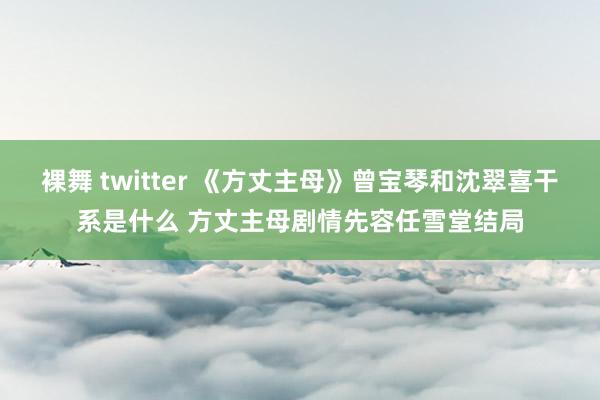 裸舞 twitter 《方丈主母》曾宝琴和沈翠喜干系是什么 方丈主母剧情先容任雪堂结局