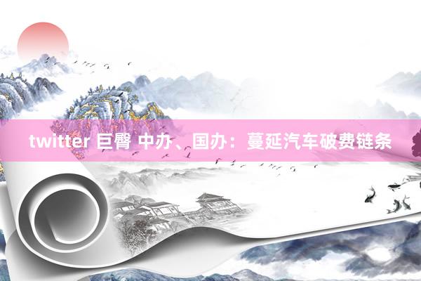 twitter 巨臀 中办、国办：蔓延汽车破费链条